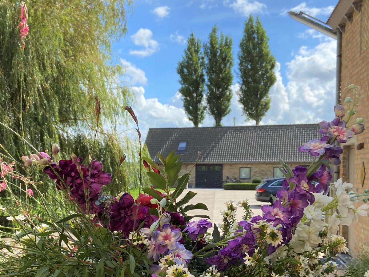 Gastenverblijf 'T Landsheertje Veurne Kültér fotó